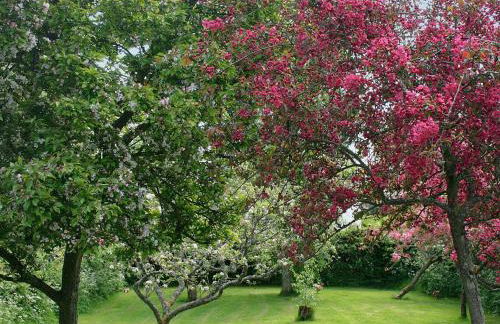 Walkmill Lodge - Foto 11