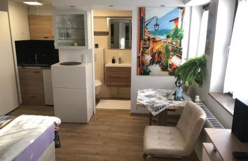 Ferienwohnung Apartment Dettum mit eigenem Bad, Kochnische und Wintergarten - Foto 1