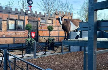 Willow Court Farm Studio East & Petting Farm, 8 mins to Legoland & Windsor, 15 mins to Lapland UK - Foto 33