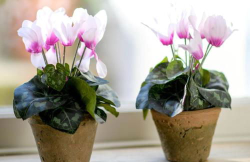 22CAP apartment - Foto 14