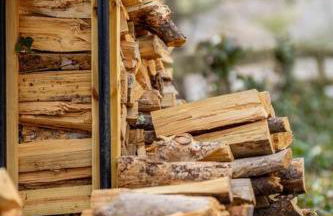 Waterfront Cabin 20 Mins to National Park & Massanutten! - Foto 23