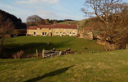 Bluebells Cottage - Photo 29