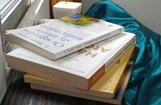 Mini Loft Confortável Próximo as praias - Foto 6