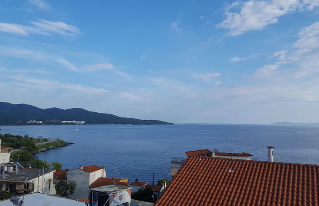 Natalie Apartments - Photo 31