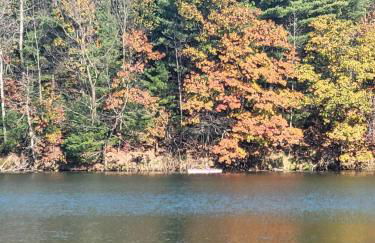 Woodlands Cabin Retreat in Oxford cabin - Foto 35