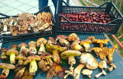 Casa La Vigna - Foto 30