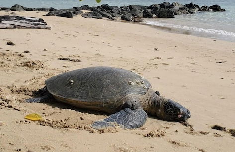 Sunrise to Sunset Perfect Getaway - Foto 5