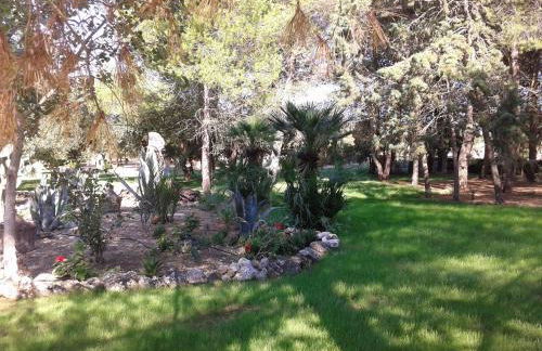 Tenuta La Spezia - Foto 51