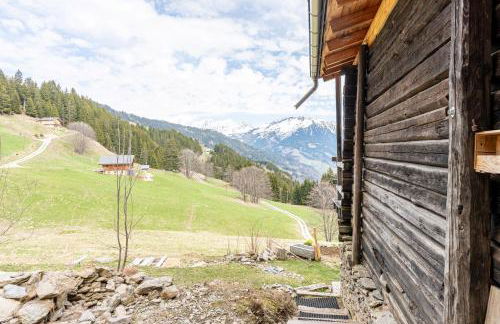 Le petit érable - Vue Mont Blanc - Foto 24