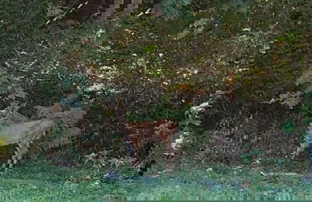 GLOBALSTAY. Paradise Marina Place - Photo 1