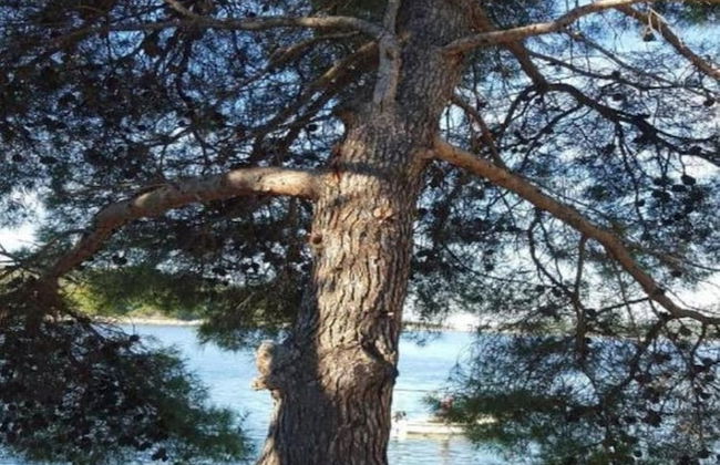 More - sea View - H - Foto 22