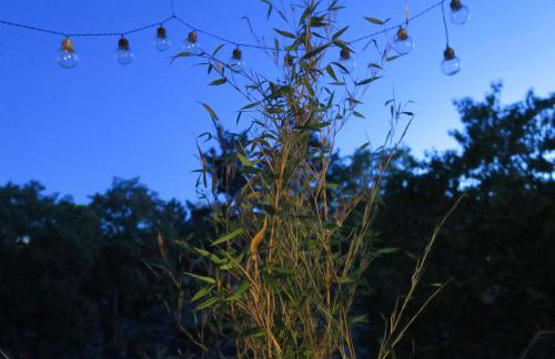 Beau 4 pièces dans coin de verdure - Foto 28