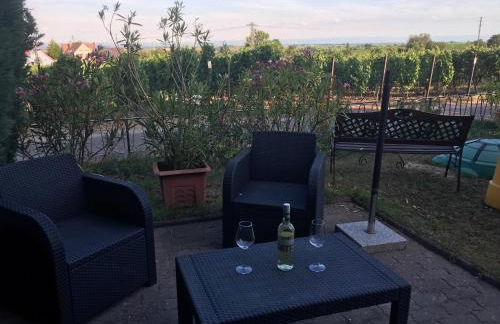 Ferienwohnung Südpfalzblick - Foto 21