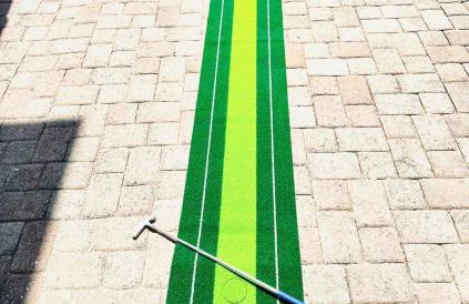 Lion of the Beach - Photo 21