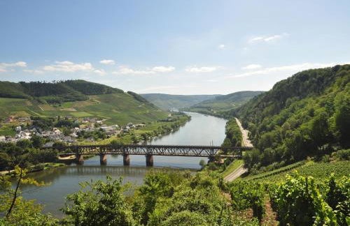 Ferienwohnung am Moselufer - Foto 35
