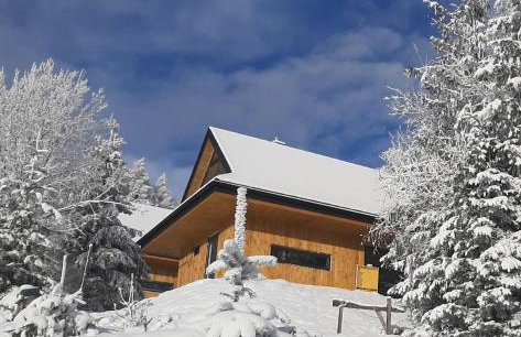 Domki Krynica - Foto 1