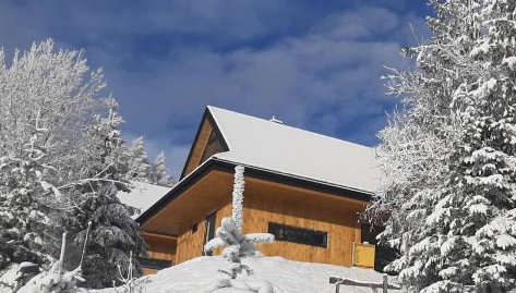 Domki Krynica - Foto 1