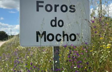 Monte Santo - Foto 54