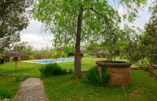 Cortijo Zalamea - Foto 7