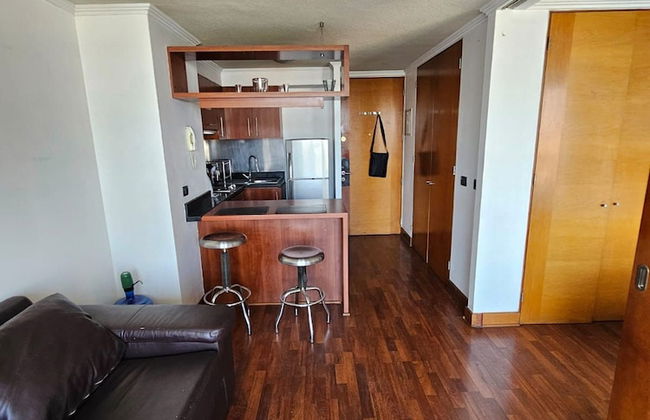 Manuel Montt apartrent - Foto 10