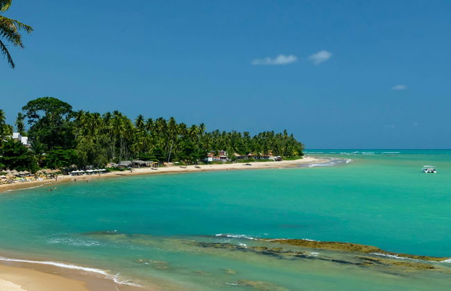 Giro in barca fra le piscine naturali di Japaratinga - Foto 6