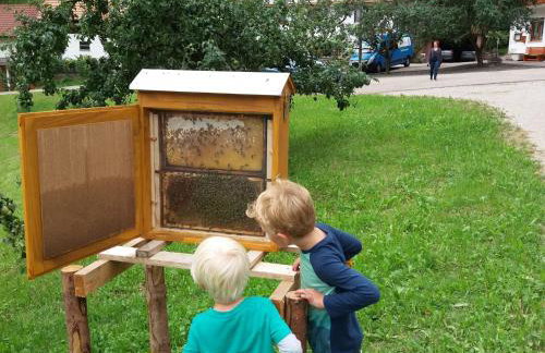 Holderstanzenhof - Foto 15