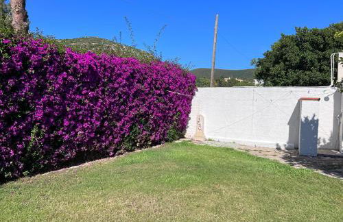 La Babbaiola di Torre delle Stelle - Foto 28