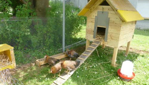 Jardin Fleuri - Foto 5