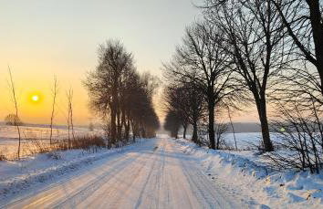 Biały Domek Nielbark - Agroturystyka - Foto 58