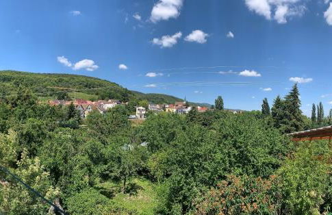 Zeit in Hambach - Foto 22