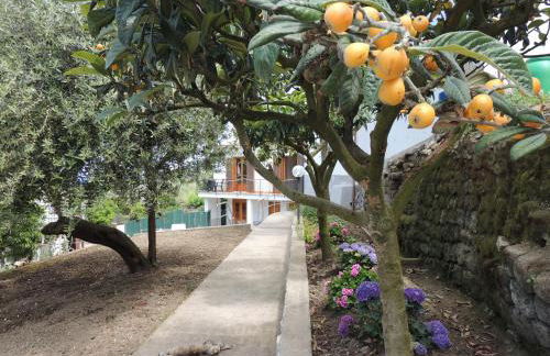 Johanna’s house - Foto 1