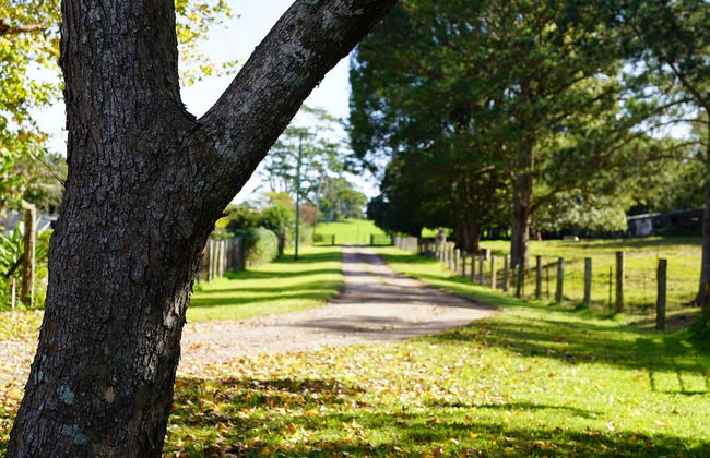 McCarthy Grove - Photo 18