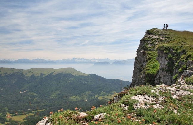 Domaine du Couriou - Foto 70