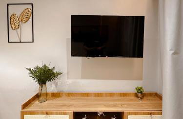 Assista o Círio de Nazaré de camarote - Foto 14