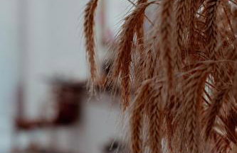 Coralli Hotel - Foto 76