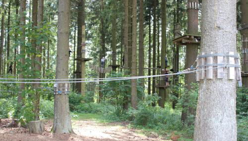 fewogriebelschied - Foto 3