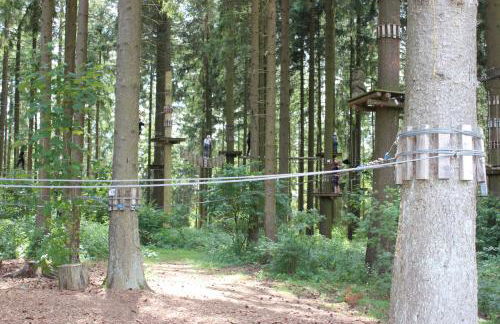 fewogriebelschied - Foto 3