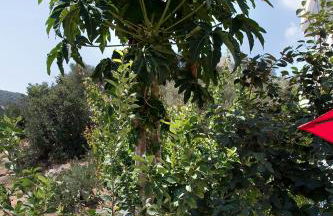 SUNSHINE APARTMENT CITY CENTER - Foto 4