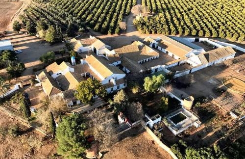 Luxurious Villa in Córdoba + Pool - Foto 8