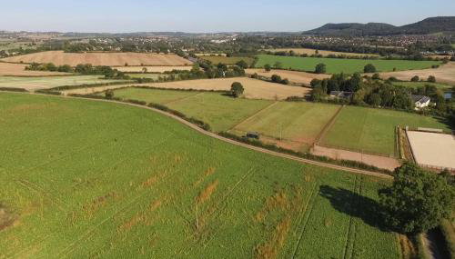 Bertha's Box - Foto 5