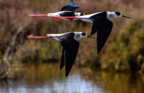 Un coin de campagne à 4km de la mer pour 4 à 6 personnes - Foto 24