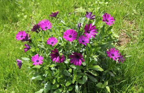 Casa de Tapadeiro - Foto 21