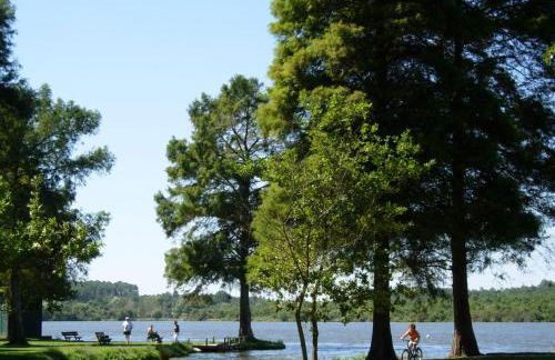 Le Cosy & Reposant, 3 étoiles, 6p, 7 min Océan & Plage, - Foto 35