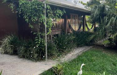 Pool amid the green - Foto 29