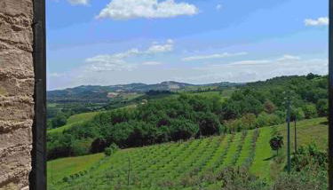 Agriturismo Alla Vecchia Quercia - Foto 5