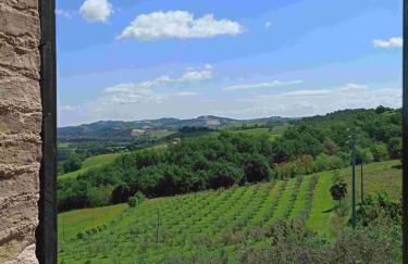 Agriturismo Alla Vecchia Quercia - Foto 5