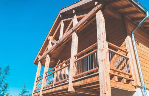 Ski et Détente Les Orres 1650 Animaux OK - Photo 20