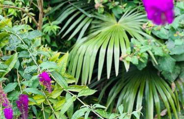 Perfectly Positioned Hambleden House - Foto 24