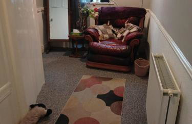 Cheerful 3-bedroom townhouse with free parking on site - Foto 7