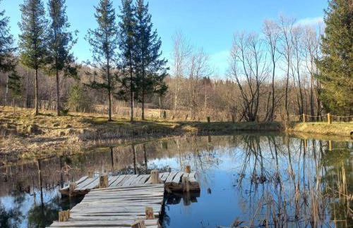 Tajemnicza Kraina - Foto 55